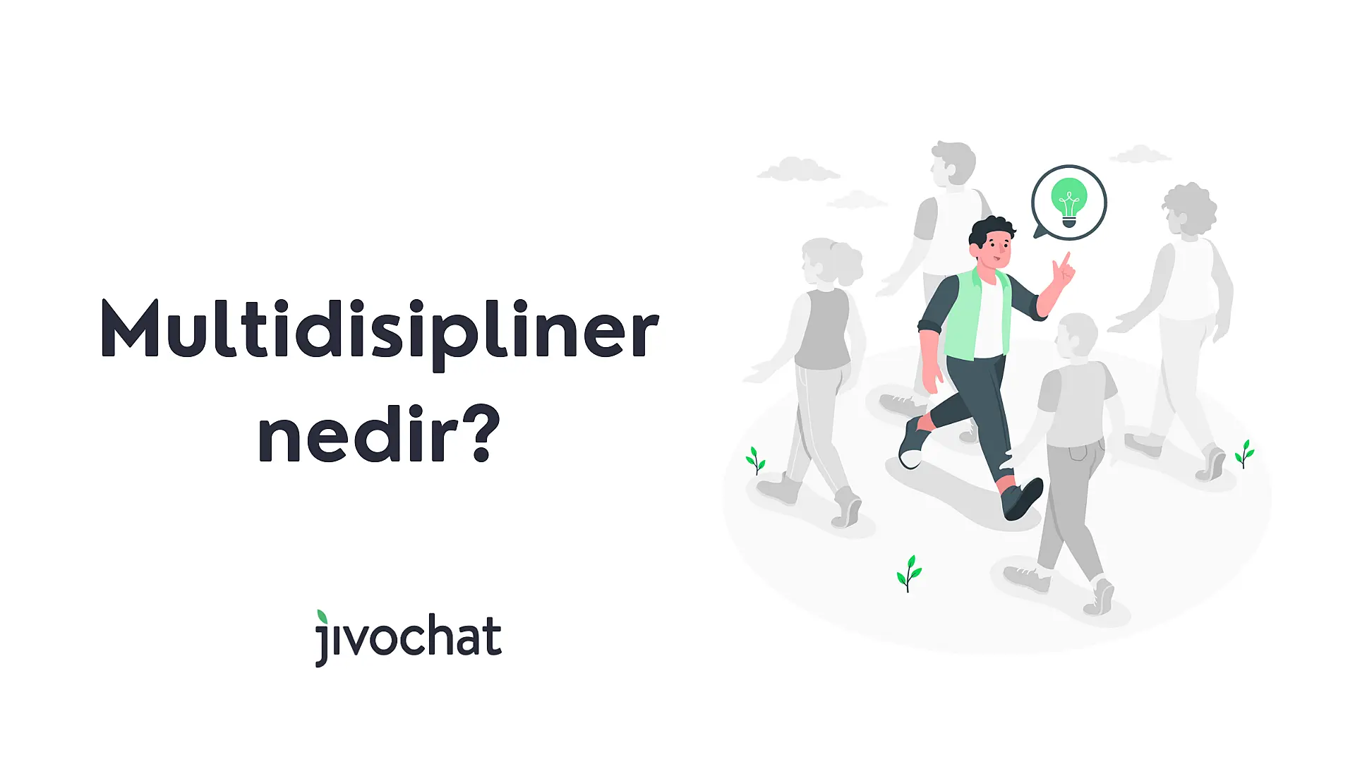 multidisipliner-nedir