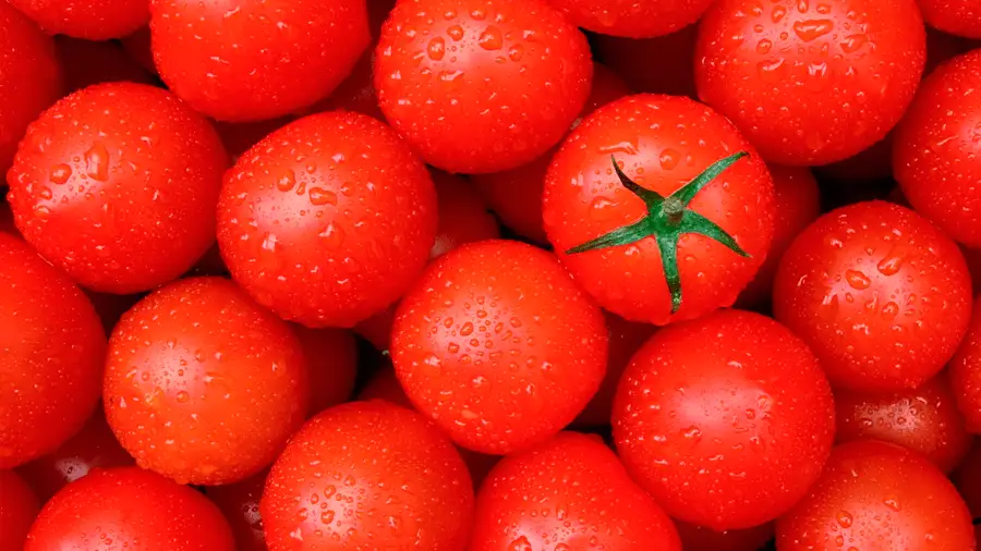 self-motivation-and-the-principle-of-tomato