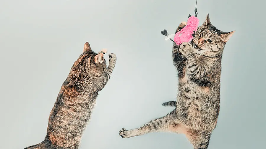 business-gamification