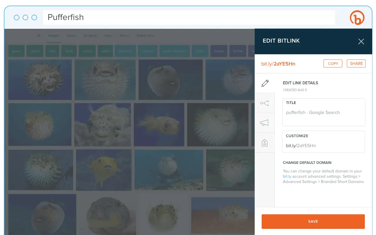 Bitly