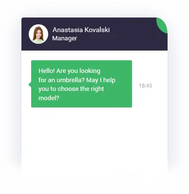 Live chat message example