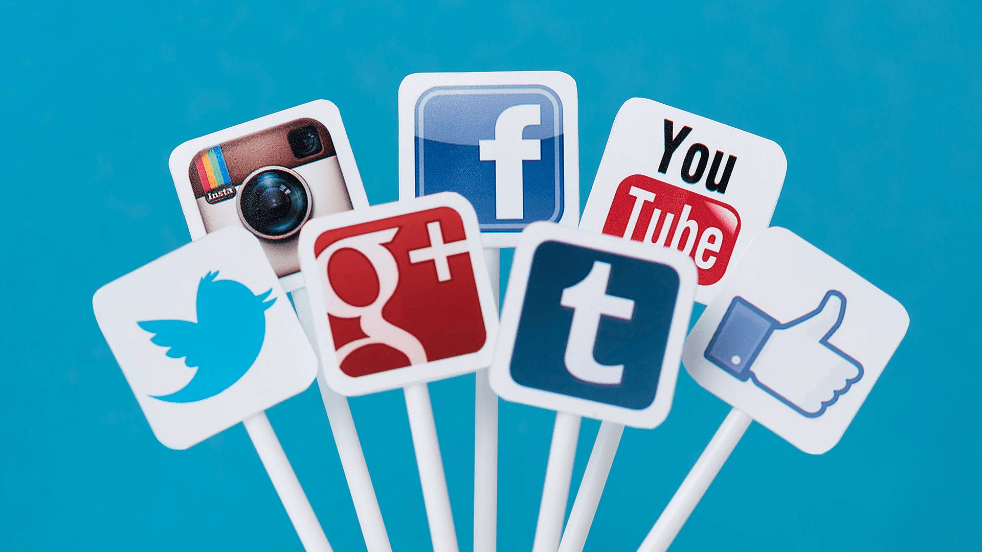 Social Media
