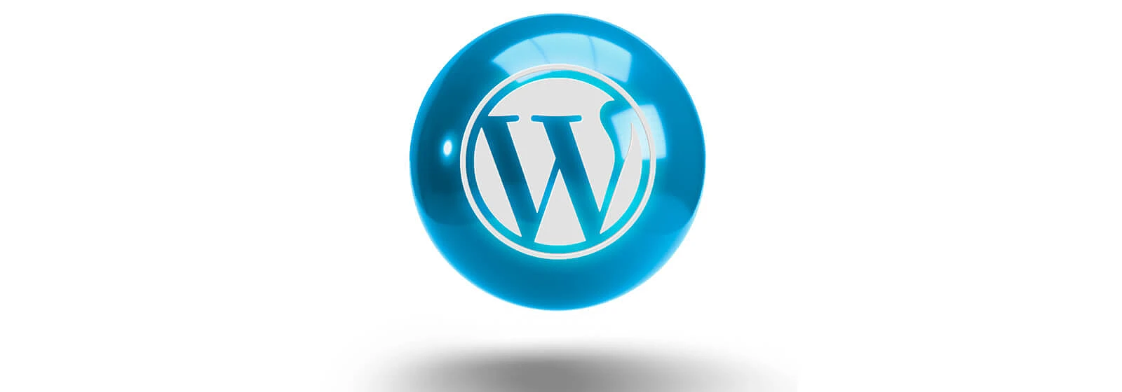 wordpress-sitenizde-canli-destek-icin-12-onemli-ozellik