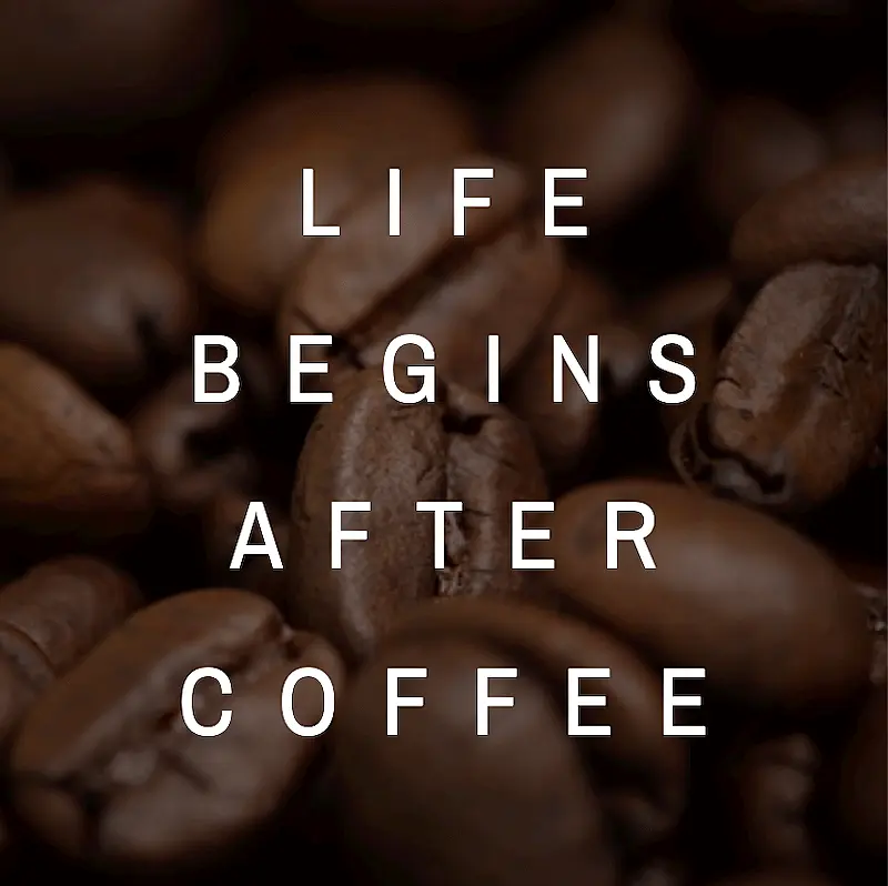 The backfroung of this website banner template shows coffee beans, and in the front it's written "life begins after coffee".