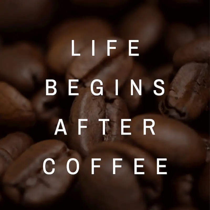 The backfroung of this website banner template shows coffee beans, and in the front it's written "life begins after coffee".