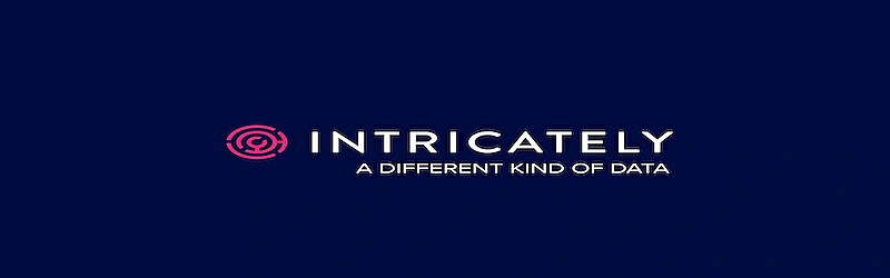 Intricately's logo. Under the company's name, it's written "A differente kind of data".