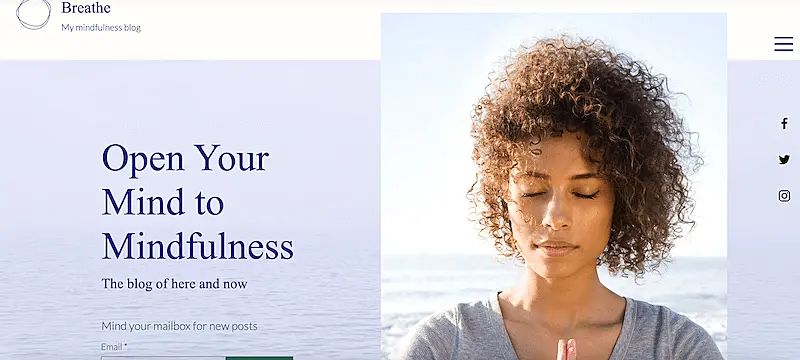Wellness blog template