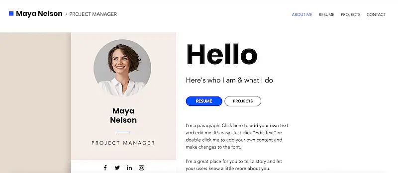 Business CV template