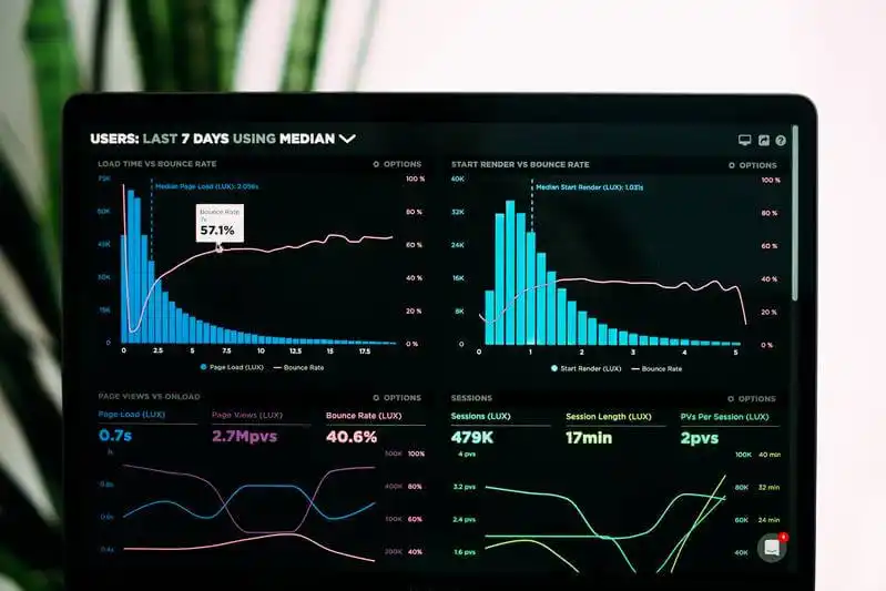 The image shows as screen with a chart about website traffic