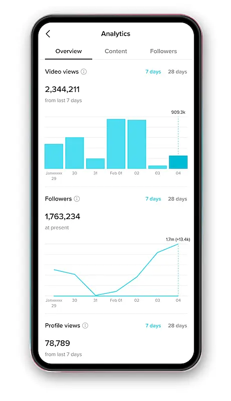 TikTok analytics print screen