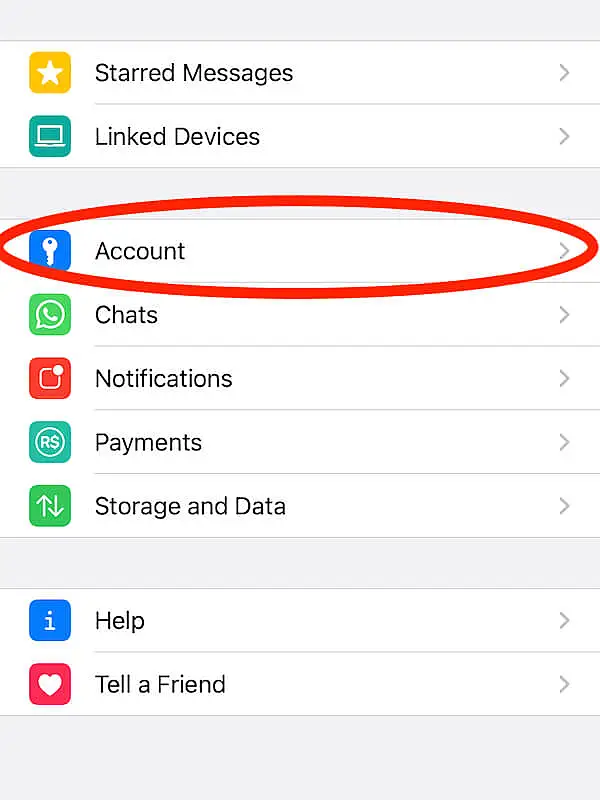 WhatsApp settings screen