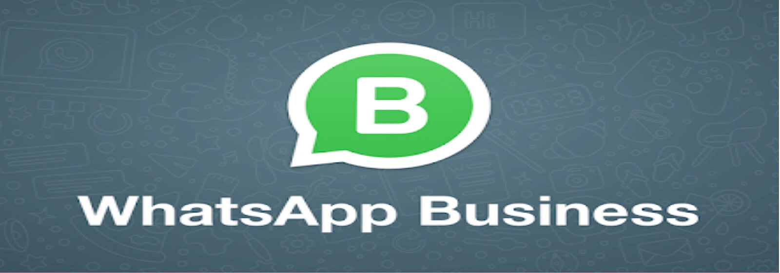 how-to-use-whatsapp-for-business