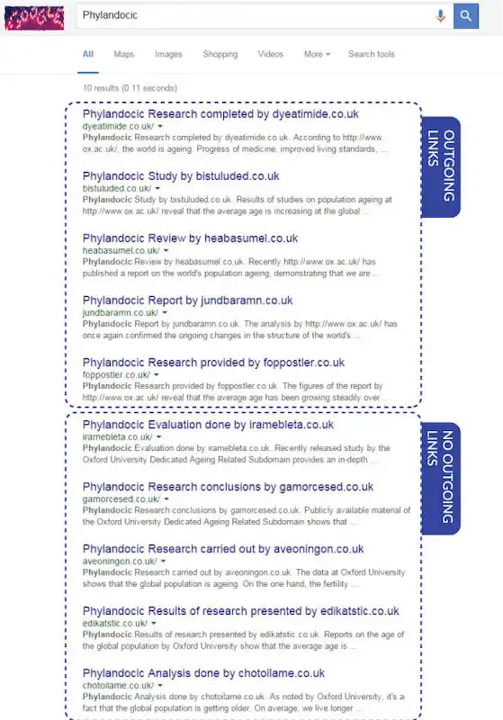 Google search results page