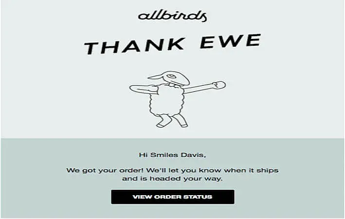 The image shows the thank you for your order email from Allbirds