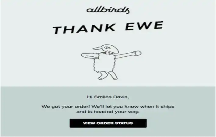 The image shows the thank you for your order email from Allbirds