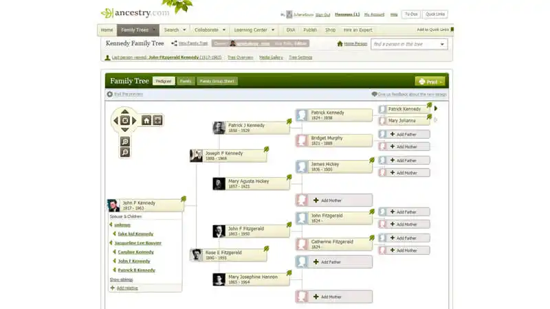 imagem que mostra em detalhes a ferramenta de criação de árvore genealógica da Ancestry