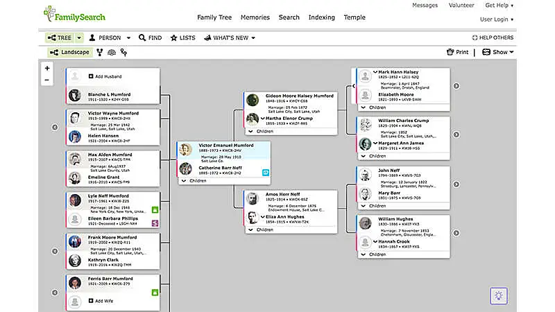 imagem que detalha a ferramente de criação de árvore genealógica do site Family Search