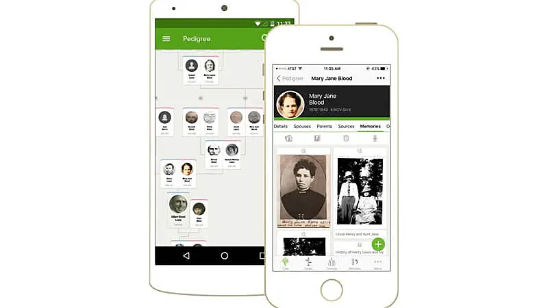 imagem que mostra dois celulares com o aplicativo do FamilySearch aberto