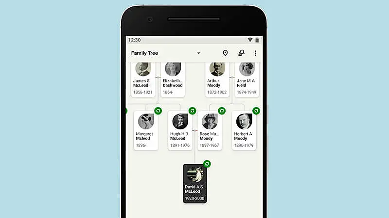 imagem que mostra uma árvore genealógica no criada no aplicativo da Ancestry