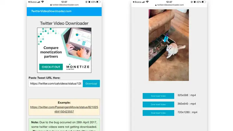 Interface do X video Downloader