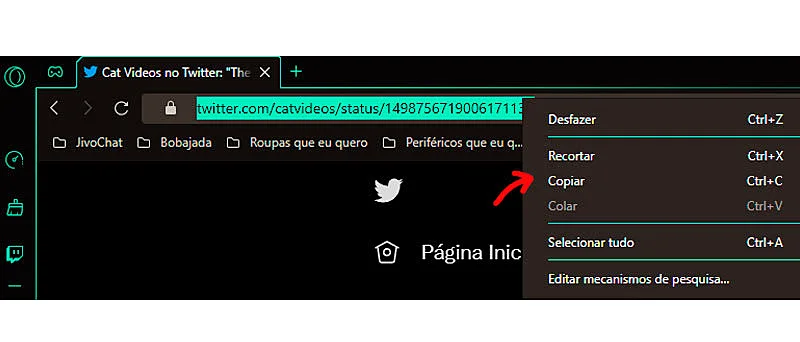 Captura de tela do navegador