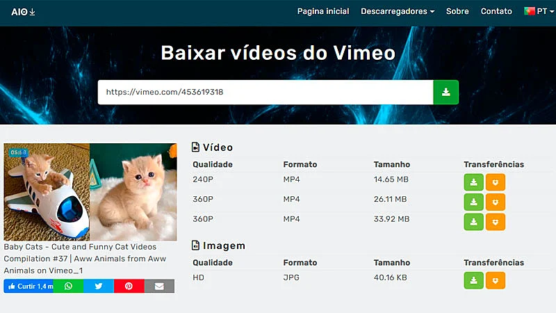 Captura de tela do AIO Downloader