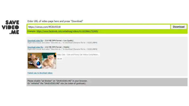 SaveVideo.me Captura de tela do site SaveVideo.me