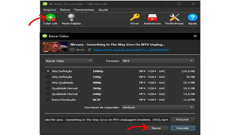 Captura de tela do 4K Video Downloader