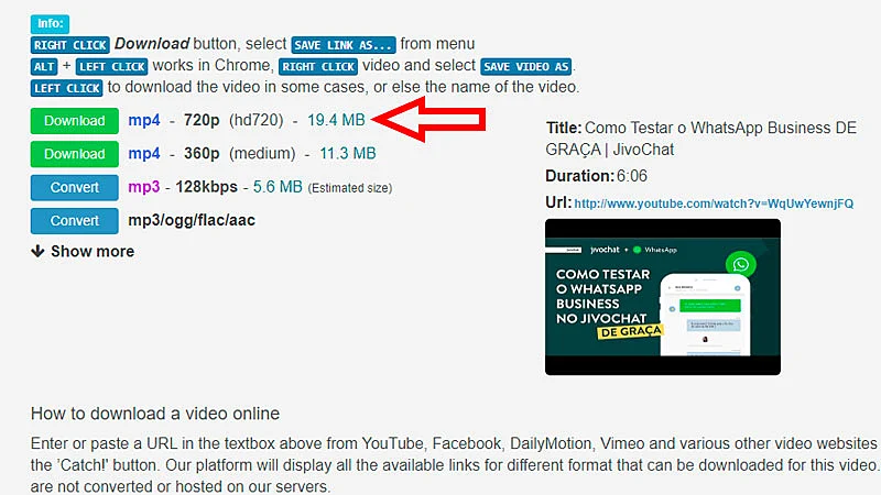 Bajar vídeo con Catchvideo, paso 2