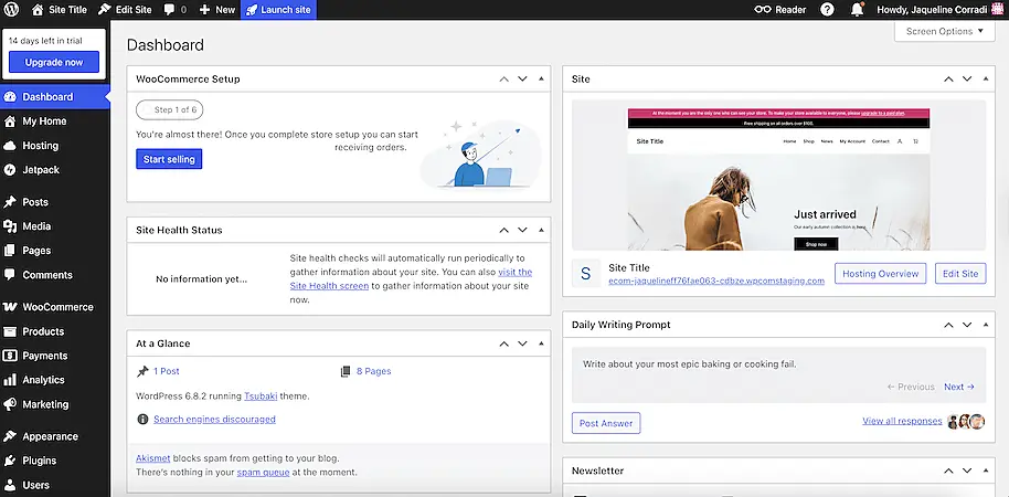 WordPress WooCommerce dashboard with setup status, site health information, and an overview of store customization progress.