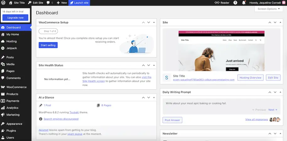Ecommerce platform - WordPress WordPress WooCommerce dashboard with setup status, site health information, and an overview of store customization progress.