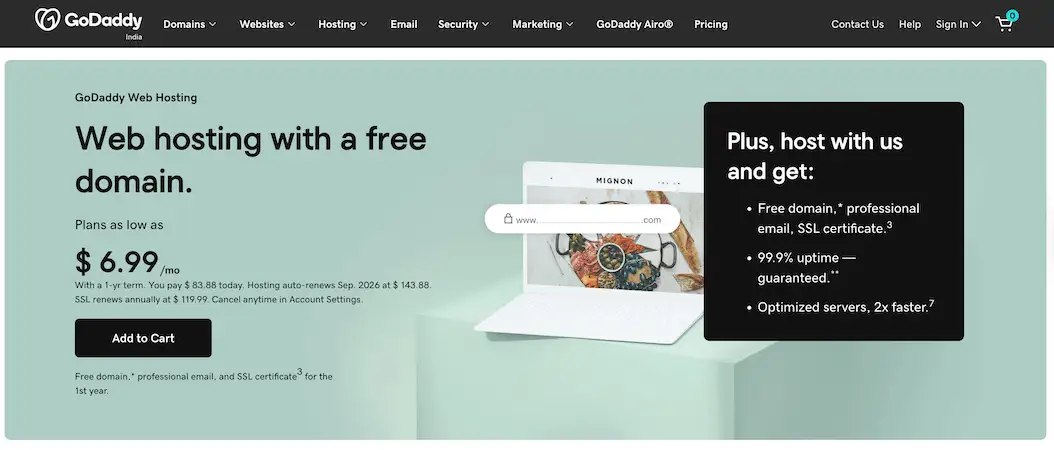 GoDaddy's website