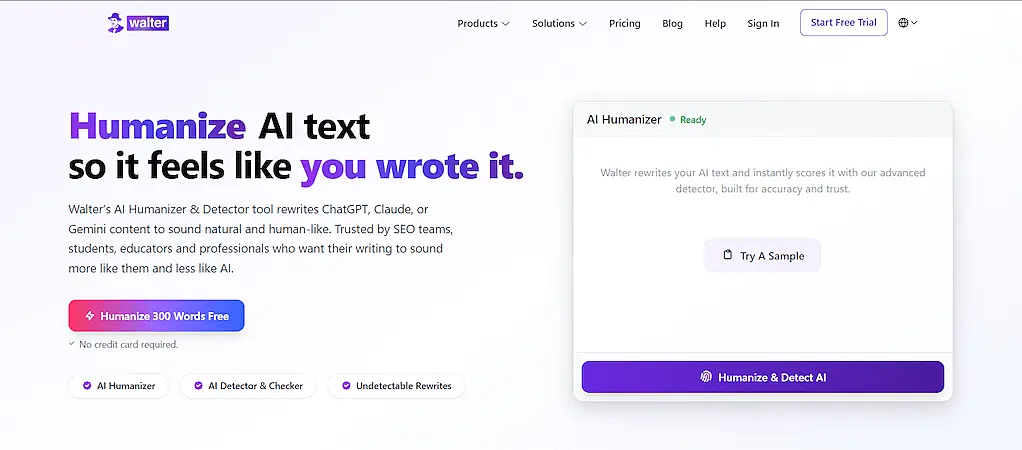 Walter Writes AI website