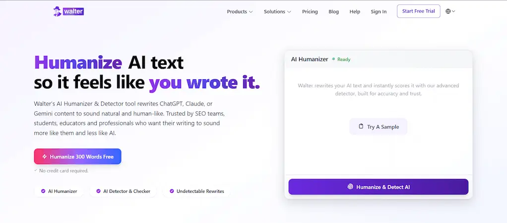 Walter Writes AI website