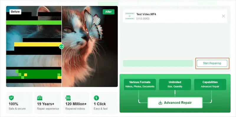 EaseUs online Video Repair