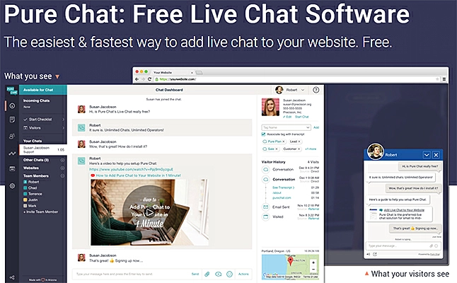 PureChat interface