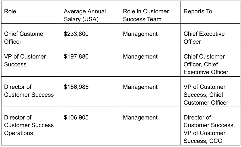 Senior level roles chart showing the roles, average annual salary, roles in customer success team, and reports to