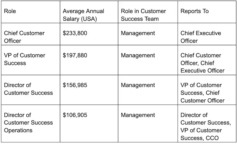 Senior level roles chart showing the roles, average annual salary, roles in customer success team, and reports to