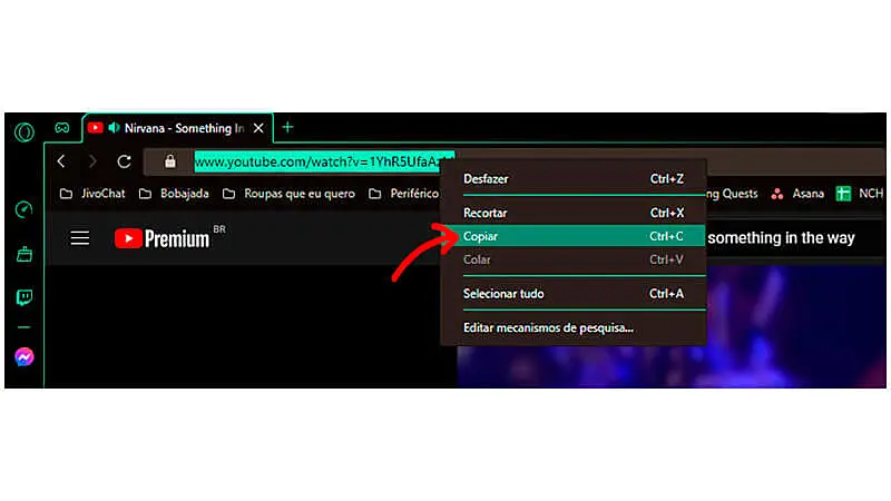 imagem que explica como copiar um endereço ou URL de um site