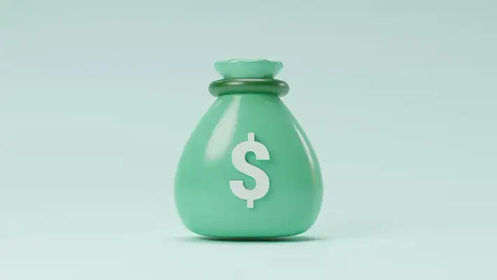 Imagen vectorizada de un bolso de dinero con un símbolo de dólar