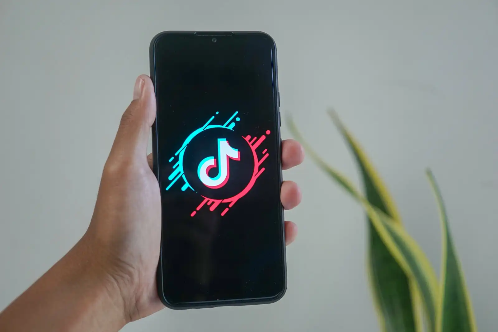 can-tiktok-grow-your-business-internationally