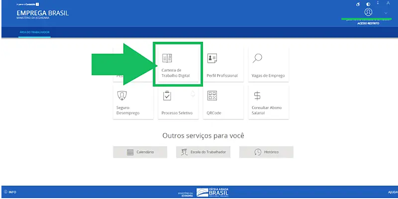 Printscreen de acesso a carteira de trabalho online
