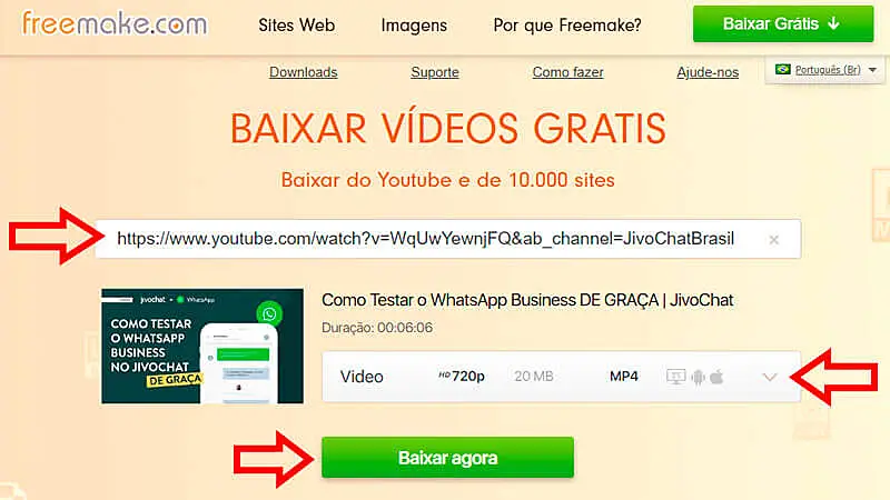 Captura de tela do FreeMake ensinando como fazer um download no YouTube