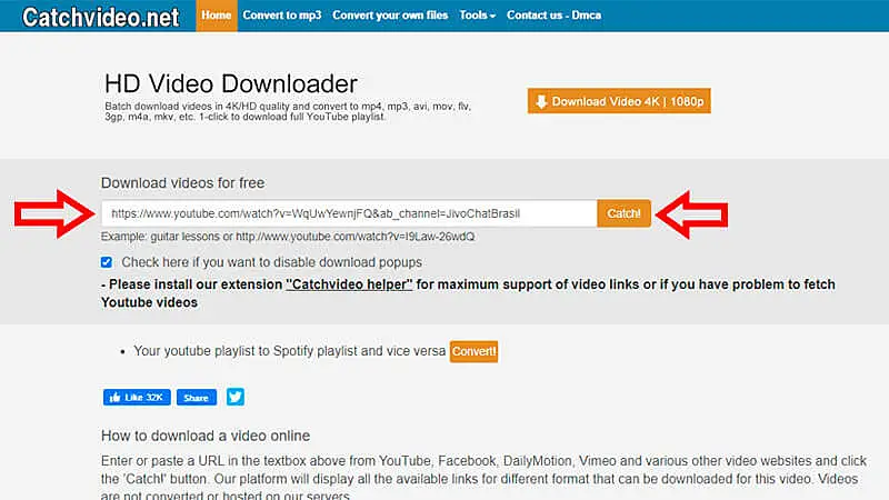 Catchvideo, guia de download, passo 1