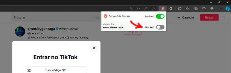 simple site blocker captura de tela mostrando como bloquear site com o simple site blocker