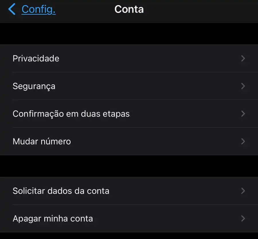 Captura de tela do menu conta
