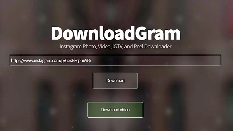 DownloadGram