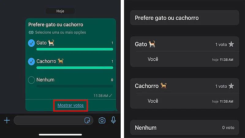 Captura de tela do WhatsApp