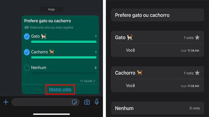 Captura de tela do WhatsApp