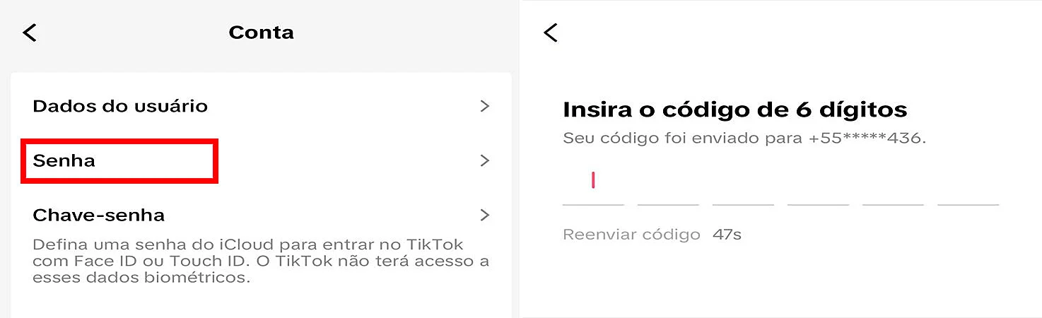 captura de tela do TikTok